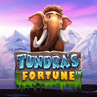 Vận May Tundra game icon